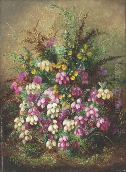 Wild Flowers - view 1