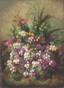 Wild Flowers by Albert Durer Lucas