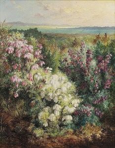Bell Heather Beside A Coastal Landscape