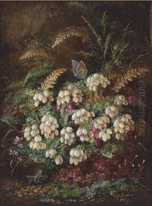 Heather And A Butterfly; And Primulas And Violas