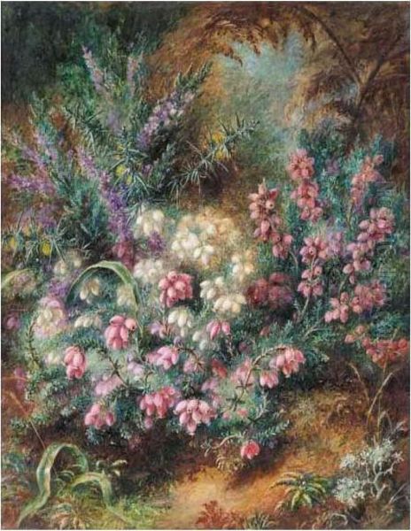 Heather In Flower - view 1