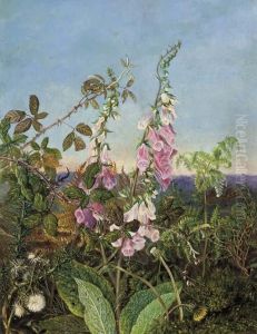 A Summer Hedgerow