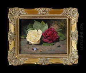 "roses" And Birdnest And Apple Blossoms