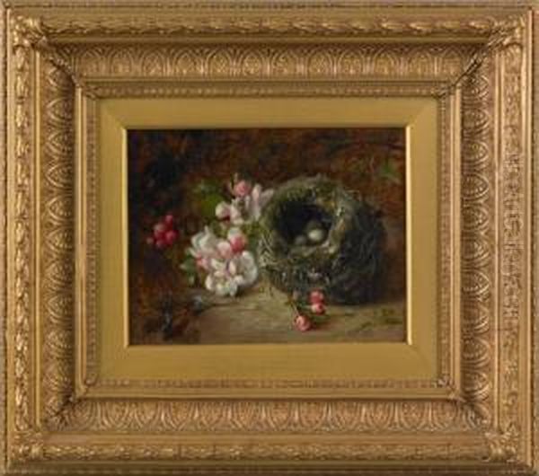 Bird Nest And Flowers - view 1