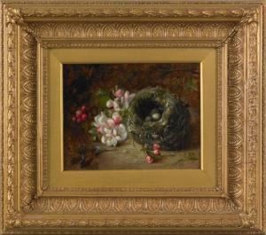 Bird Nest And Flowers