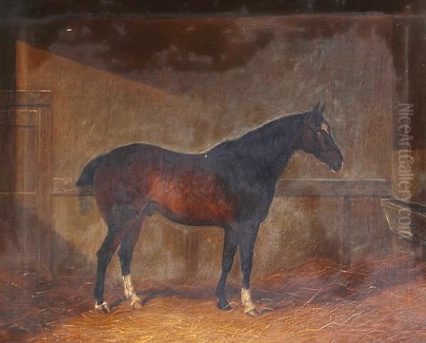'dobbin' - A Dappled Chestnut Hunter In Astable - view 1
