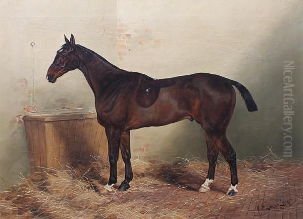 'locksley', A Dark Bay Hunter In Its Box - view 1