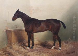 'locksley', A Dark Bay Hunter In Its Box
