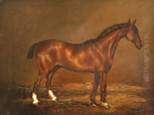 Lucas Study Of A Bay Hunter In A Stable by Henry Frederick Lucas-Lucas