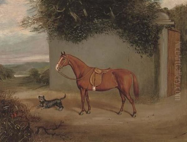 A Chestnut Hunter In A Stable - view 1