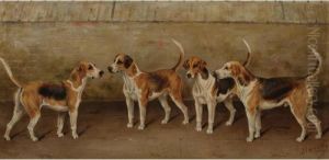 The Holderness Hounds: Wildboy, Sailor, Paragon And Stormin