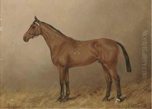 Boniface