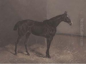 Ringlet A Dark Brown Racehorse In A Stable