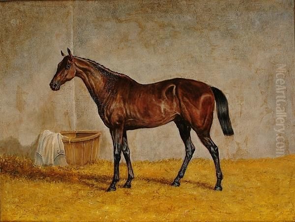 Portrait Of Bay Horse In A Stable - view 1