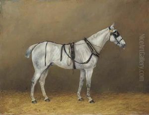 Simon, A Grey Horse In Harness In A Stable by Henry Frederick Lucas-Lucas