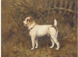 Pat, A Wire Haired Terrier by Henry Frederick Lucas-Lucas