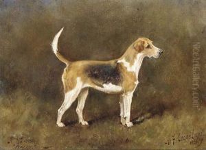 Rally, A Champion Hound Bitch by Henry Frederick Lucas-Lucas