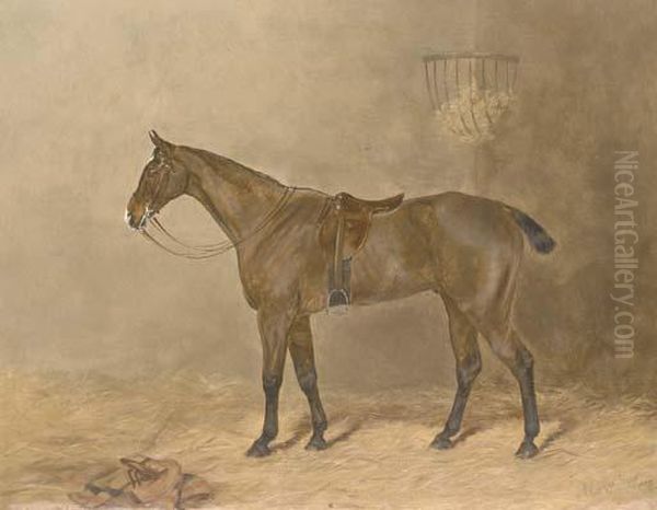 Goodwin, A Bay Hunter In A Stable - view 1