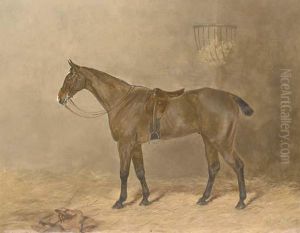 Goodwin, A Bay Hunter In A Stable