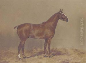 Tom-thumb, A Chestnut Hunter by Henry Frederick Lucas-Lucas