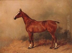 Friz-hill, A Chestnut Polo Pony