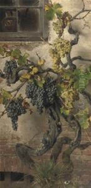 Red And White Grapes - view 1