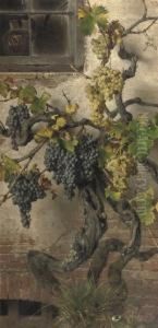 Red And White Grapes by Giorgio Lucchesi