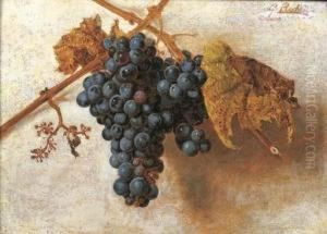 Grappolo D'uva by Giorgio Lucchesi