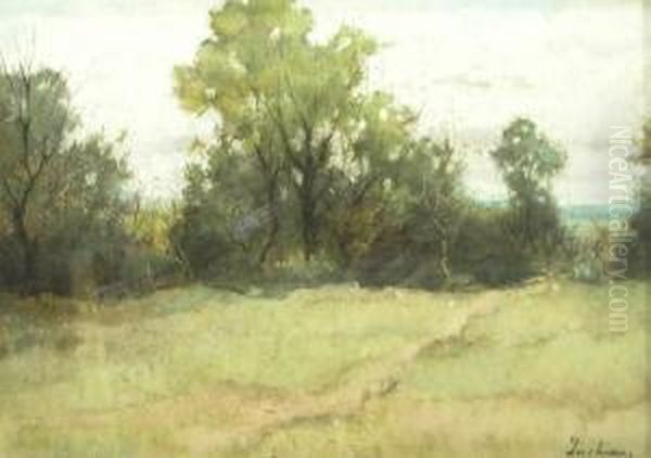 Landscape - view 1