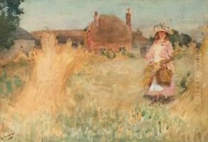 Gathering Corn