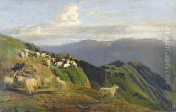 Alpweide Mit Schafherde - view 1