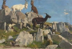 Sommerliche Gebirgspartie Mit Ziegen. by Albert Lugardon