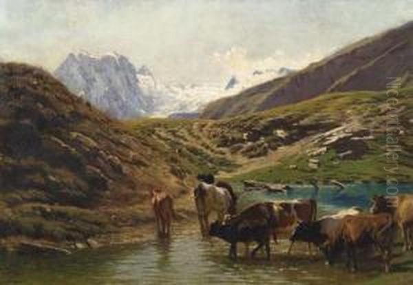Cows At The Watering Place In The Mountains - view 1