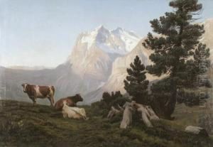 Drei Kuhe Auf Einer Alm Vor Dem Wetterhorn.