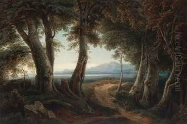Waldweg - view 1