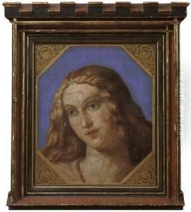 Kopf Einer Jugen Frau by Bernardino Luini