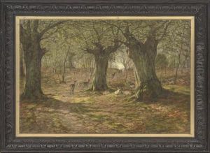 Deer In Burnham Beeches, Buckinghamshire