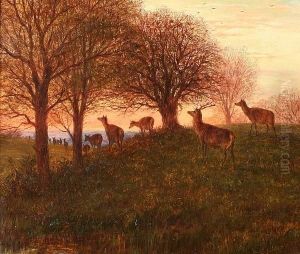 Deer In Wooded Landscape by William Snr Luker