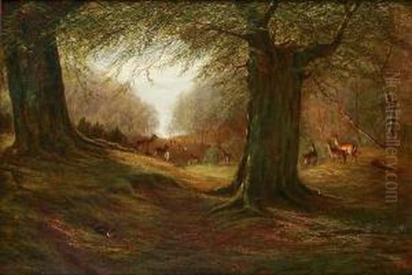 Deer And Rabbits In A Woodland Glade - view 1