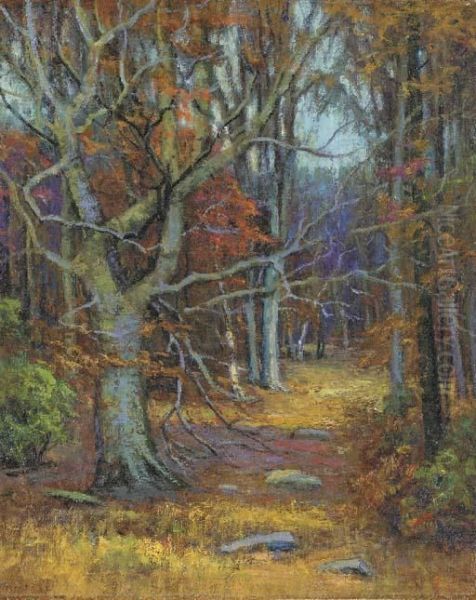 Old Beech - view 1