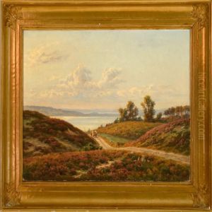 View From Silkeborg,jutland