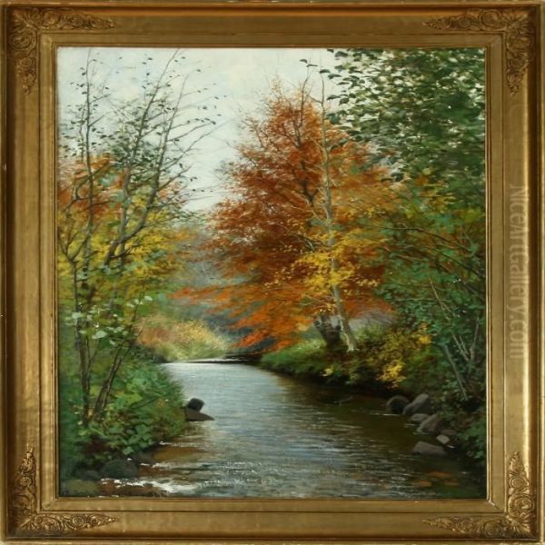 Autumn Forest At A Stream - view 1