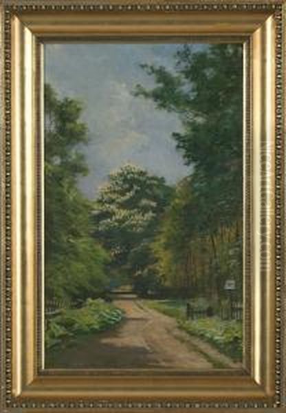 Forest With Sunken Road - view 1