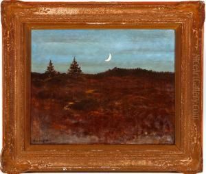 A Moonlight Scenery A Moonlight Scenery