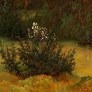 Study Of A Juniper Study Of A Juniper