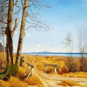 Wintry Scene Without Snow