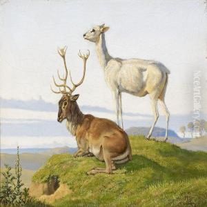 A Deer And Ahind
