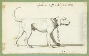 A Watchdog On A Lash. On The 
Reverse Portrait Studies Of N. F. S. Grundtvig And Adam Oehlenschlager