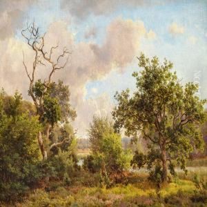 Summer Day In Bollemosen
