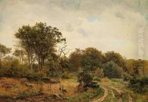A Summer's Day In Hellebaek